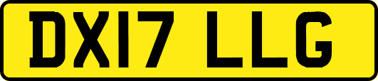 DX17LLG