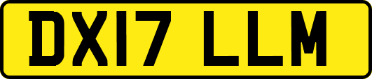 DX17LLM
