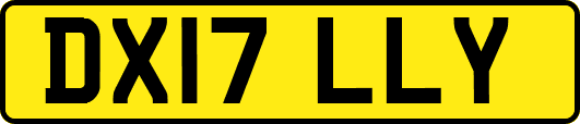 DX17LLY
