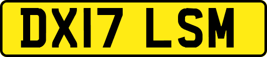 DX17LSM