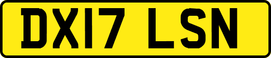 DX17LSN