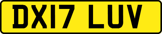 DX17LUV