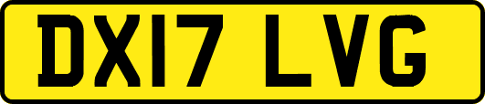 DX17LVG