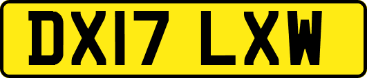 DX17LXW