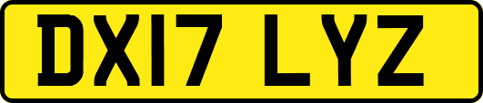 DX17LYZ
