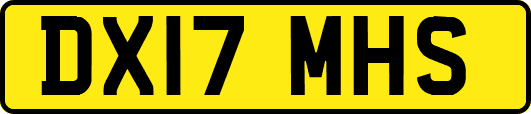 DX17MHS