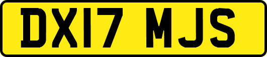 DX17MJS