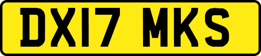 DX17MKS