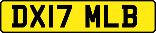 DX17MLB