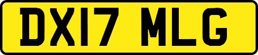 DX17MLG