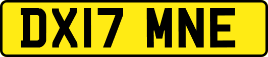 DX17MNE