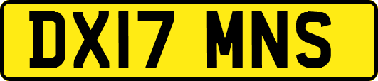 DX17MNS