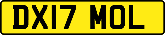 DX17MOL