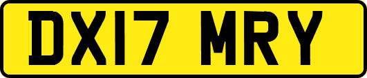 DX17MRY