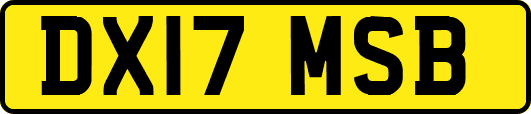 DX17MSB