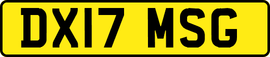 DX17MSG
