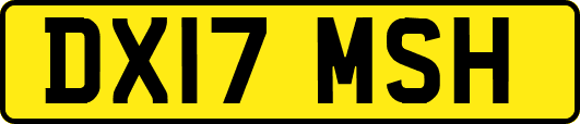 DX17MSH