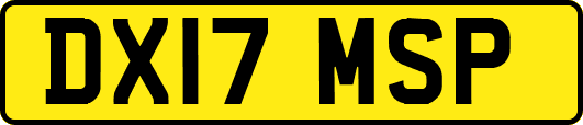 DX17MSP