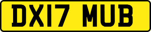 DX17MUB
