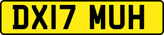 DX17MUH