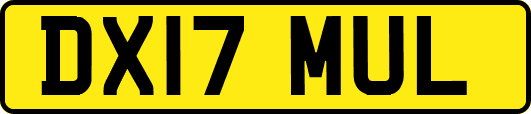 DX17MUL