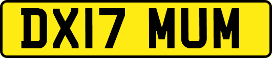 DX17MUM