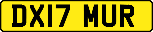 DX17MUR
