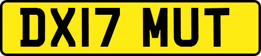DX17MUT