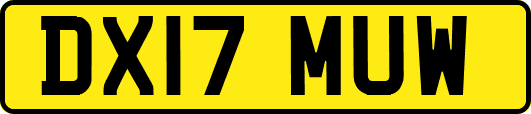 DX17MUW