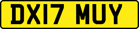 DX17MUY