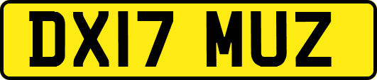 DX17MUZ