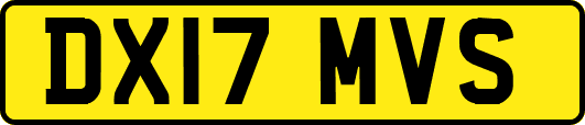 DX17MVS
