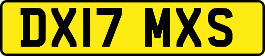 DX17MXS