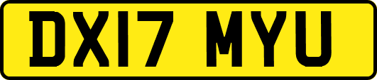 DX17MYU