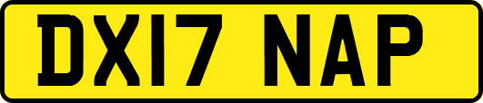 DX17NAP