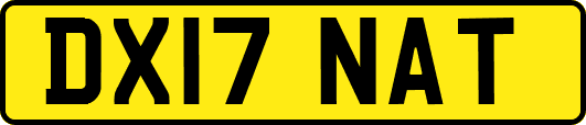 DX17NAT
