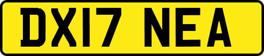 DX17NEA