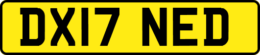 DX17NED