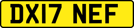 DX17NEF