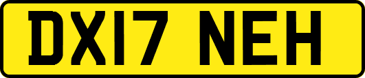 DX17NEH
