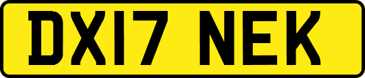 DX17NEK