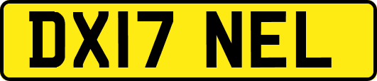DX17NEL
