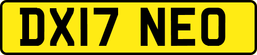 DX17NEO