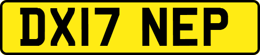 DX17NEP