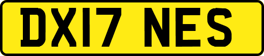DX17NES