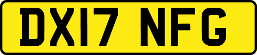 DX17NFG