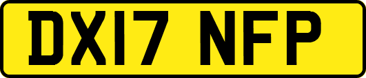 DX17NFP