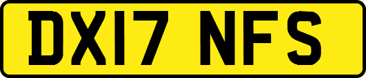 DX17NFS