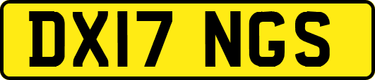 DX17NGS