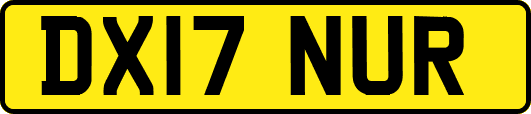 DX17NUR